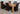 Dakota Extra Large Oak Dining Table with 6 Montana Black Leather Chairs