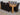Dakota Extra Large Oak Dining Table with 8 Lola Black Leather Chairs