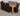 Dakota Extra Large Oak Dining Table with 8 Lola Brown Leather Chairs
