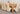 Dakota Extra Large Oak Dining Table with 8 Lola Ivory Leather Chairs