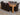 Dakota Extra Large Oak Dining Table with 8 Montana Brown Leather Chairs