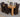 Dakota Large Oak Dining Table with 6 Lola Brown Leather Chairs