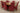Edmonton Round Extendable Oak Dining Set with 6 Montana Burgundy Leather Chairs