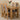 Hampton Small Oak Extending Dining Table with 4 Stanford Oak Chairs