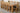 Kuba Extra Large Oak Dining Table with 10 Berkeley Oak and Brown Leather Chairs