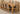 Kuba Extra Large Oak Dining Table with 8 Stanford Oak Chairs