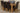 Kuba Small Oak Dining Table with 6 Washington Brown Leather Chairs