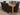 Oslo 180 x 90cm Large Oak Dining Set with 8 Montana Brown Leather Chairs