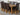 Oslo 180 x 90cm Large Oak Dining Set with 8 Washington Brown Leather Chairs