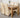 Oslo 150 x 90cm Medium Oak Dining Set with 4 Lola Ivory Leather Chairs