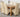 Oslo 150 x 90cm Medium Oak Dining Set with 6 Lola Ivory Leather Chairs