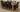 Richmond Large Oak Extending Dining Table with 8 Washington Black Leather Chairs