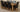 Richmond Large Oak Extending Dining Table with 8 Washington Brown Leather Chairs
