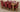 Richmond Large Oak Extending Dining Table with 8 Washington Burgundy Leather Chairs