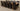 Richmond Large Oak Extending Dining Table with 10 Montana Brown Leather Chairs