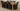 Richmond Large Oak Extending Dining Table with 8 Montana Brown Leather Chairs