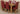 Richmond Medium Oak Extendable Dining Table with 6 Washington Burgundy Leather Chairs