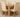 Richmond Small Extending Oak Dining Set with 4 Washington Ivory Leather Chairs