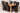 Seattle Oak Extending Dining Table with 6 Lola Brown Leather Chairs
