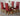 Valencia Oak Small Glass Dining Table & 4 Washington Burgundy Leather Chairs