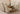 Valencia Oak Small Glass Dining Table & 4 Montana Ivory Leather Chairs