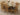 Valencia Oak Small Glass Dining Table & 6 Harvard Oak Chairs
